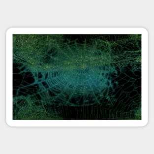 Spiderweb in Green Teal - Dark Souls Glamour Goths Sticker